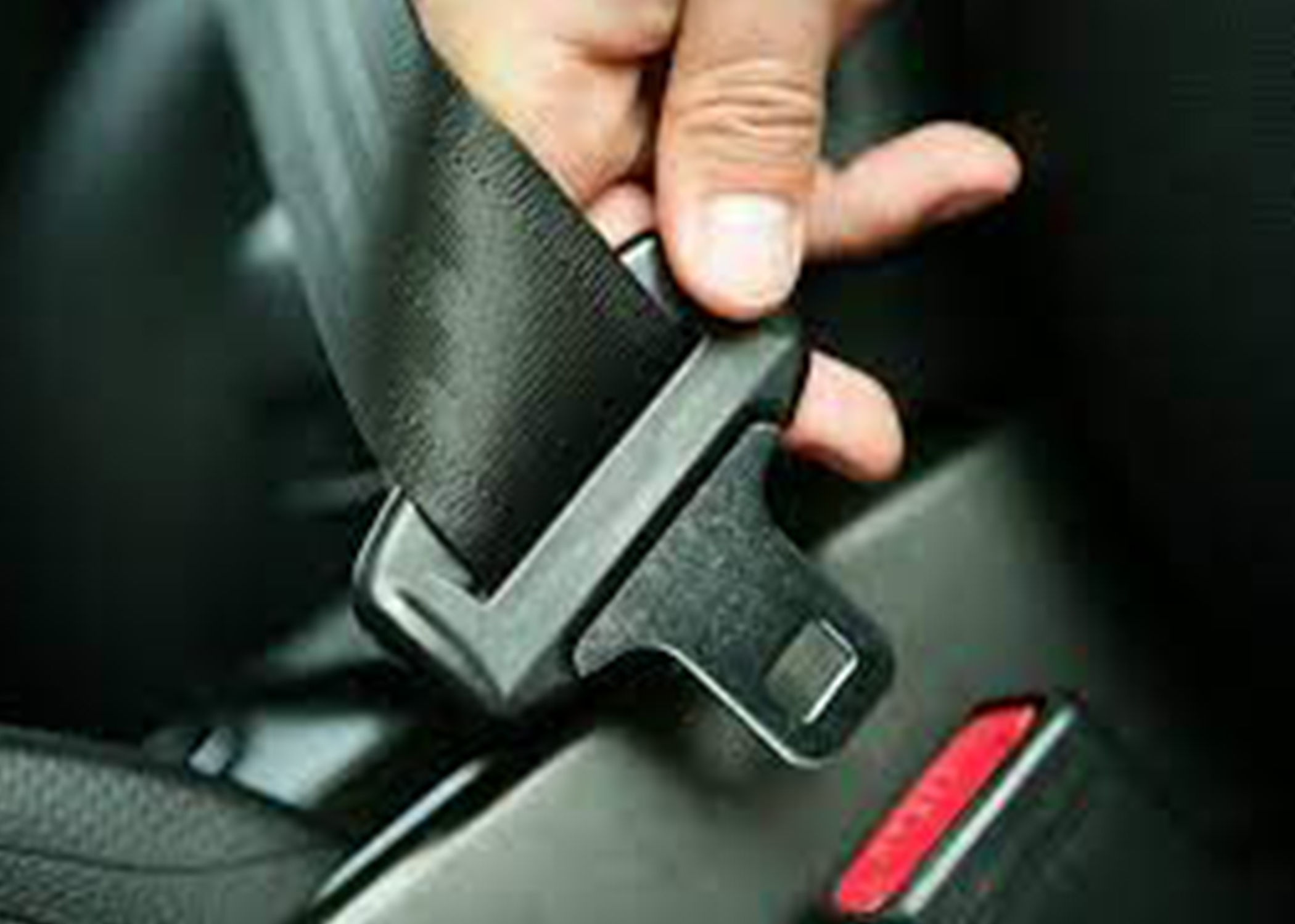 New Seatbelt 1.jpg